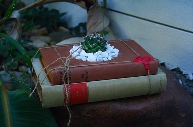 Kitaplar çiçek açtı! 10