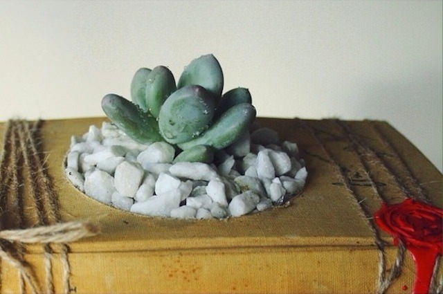 Kitaplar çiçek açtı! 11