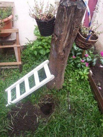 Kazdığı yerden çıkanlar şaşırttı 13