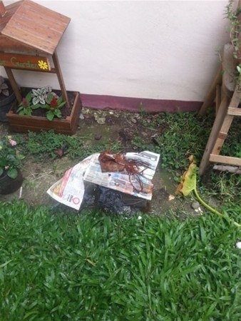 Kazdığı yerden çıkanlar şaşırttı 22