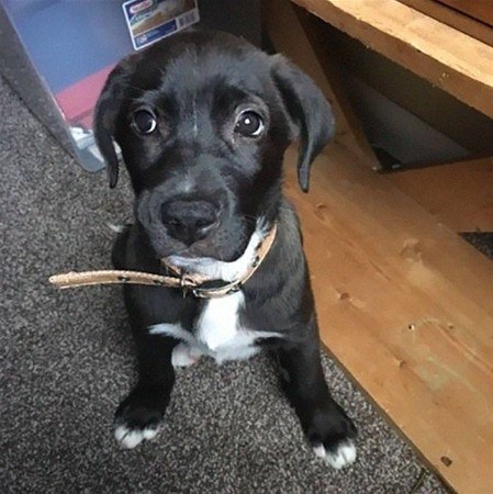 Kazdığı yerden çıkanlar şaşırttı 25