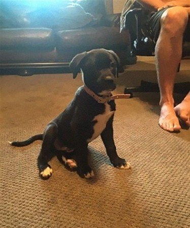 Kazdığı yerden çıkanlar şaşırttı 26