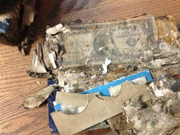 Kazdığı yerden çıkanlar şaşırttı 37