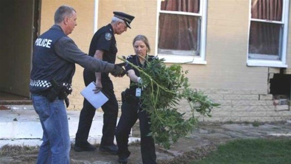 Kazdığı yerden çıkanlar şaşırttı 47