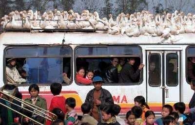 Basit sorunlara orijinal çözümler! 28