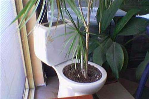 Basit sorunlara orijinal çözümler! 61