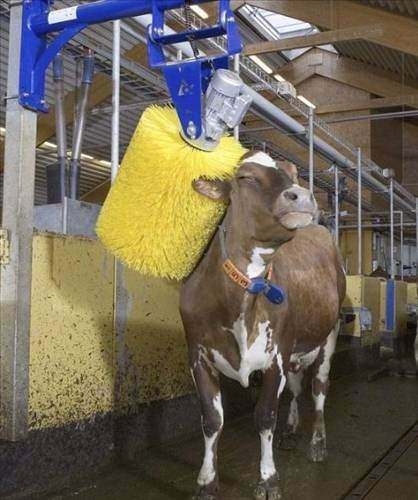 Basit sorunlara orijinal çözümler! 95