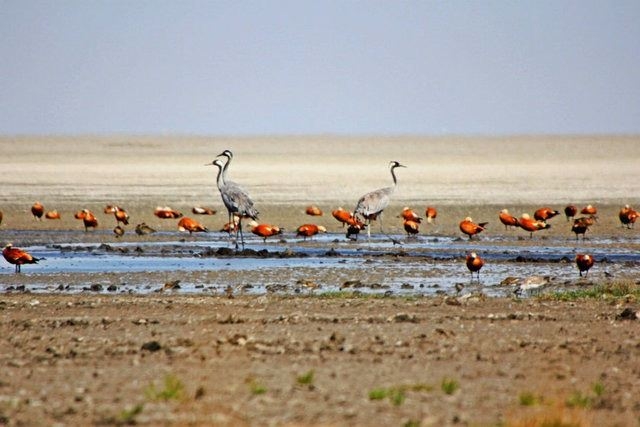 Türkiye'nin en kalabalık ilçeleri 32