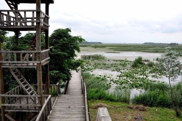 Türkiye'nin en kalabalık ilçeleri 37