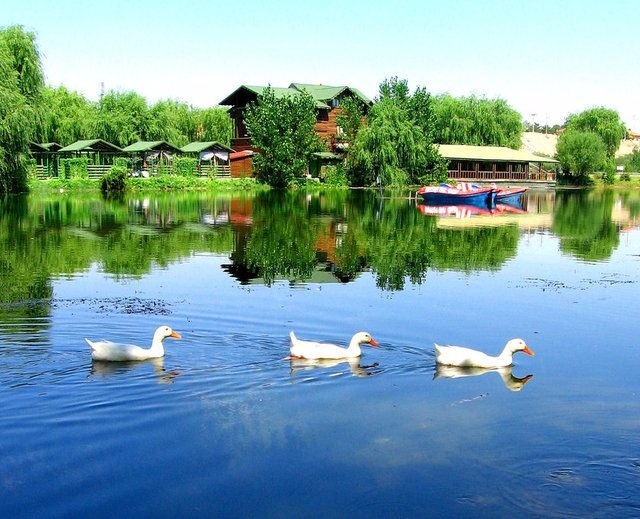 Türkiye'nin en kalabalık ilçeleri 43