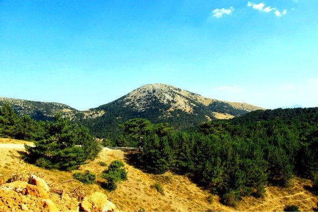 Türkiye'nin en kalabalık ilçeleri 47