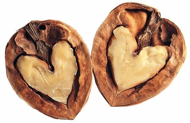 Ceviz kalbi nasıl etkiliyor? 7