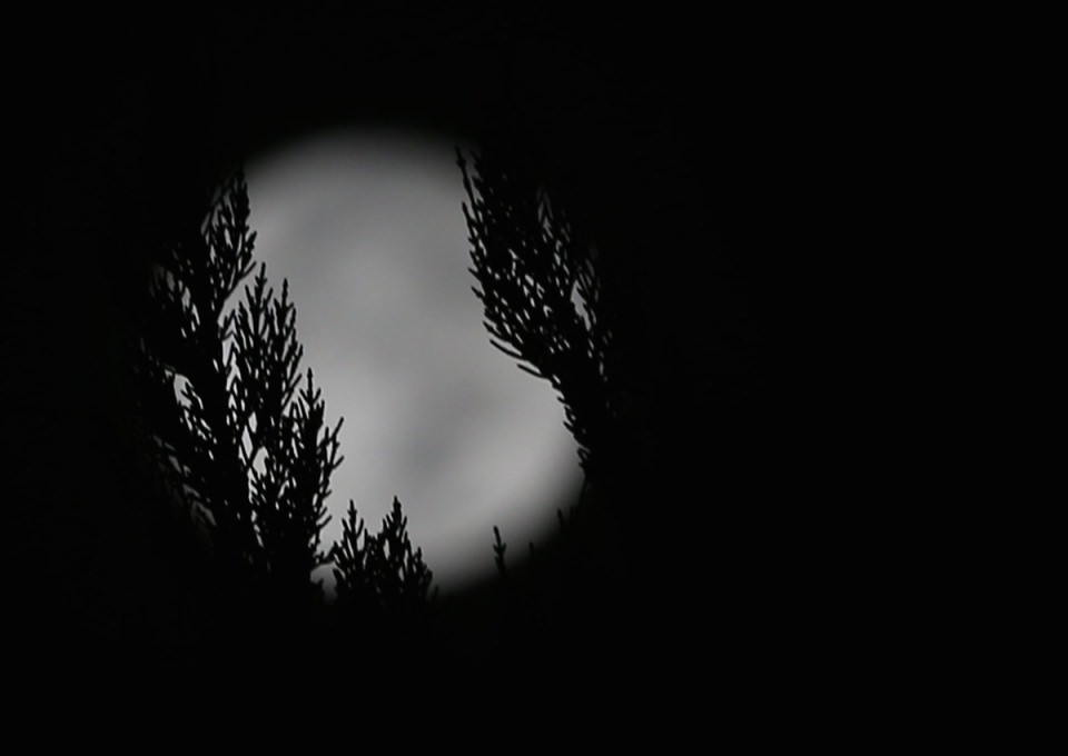 Süper ay'a saatler kaldı 14