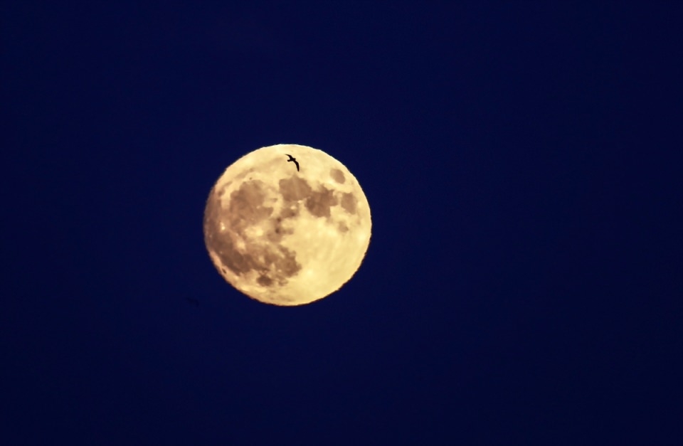 Süper ay'a saatler kaldı 31