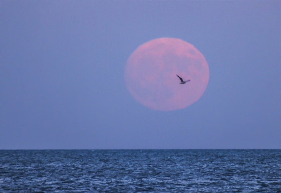 Süper ay'a saatler kaldı 33