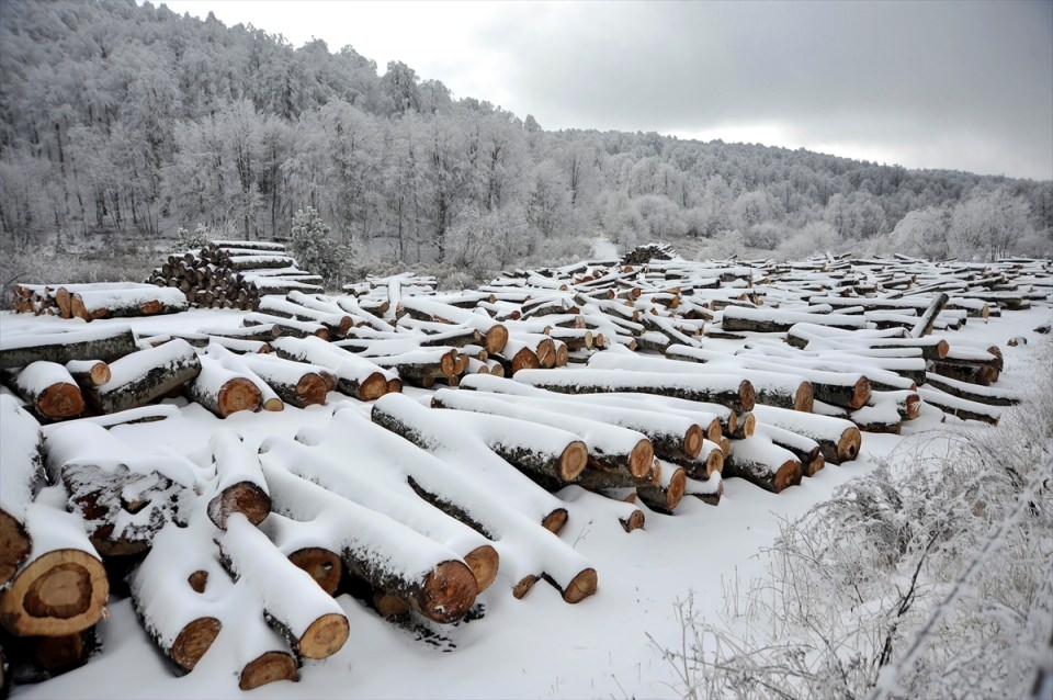 Türkiye'den kar manzaraları 47