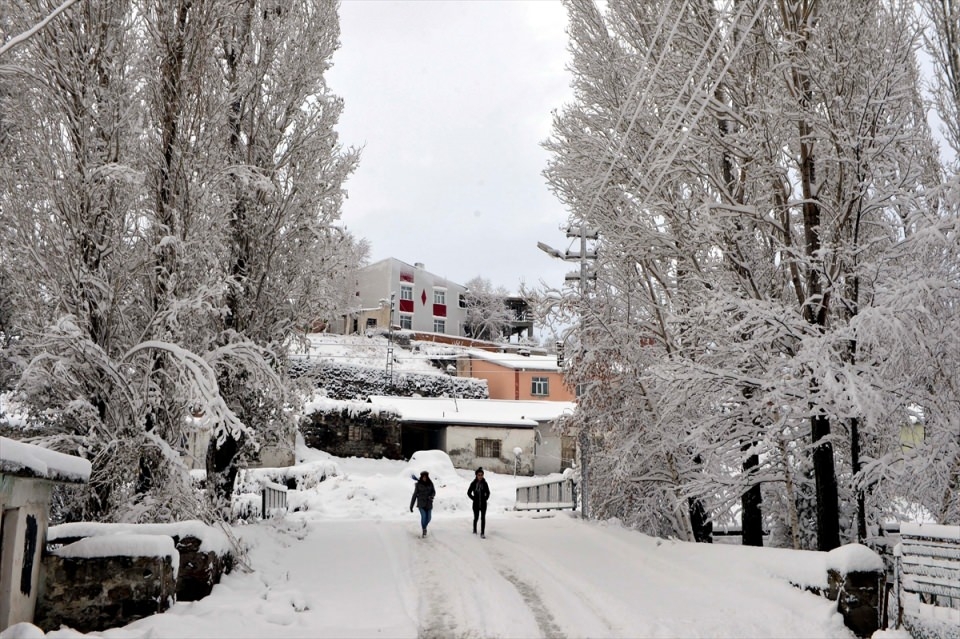 Türkiye'den kar manzaraları 5