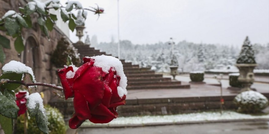 Türkiye'den kar manzaraları