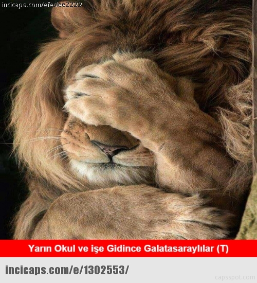 Fenerbahçe'den Galatasaray'a olay tweet! 59