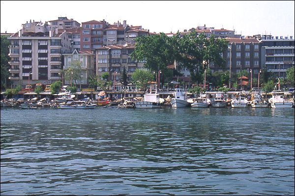 Hangi şehir, hangi takımlı? 59