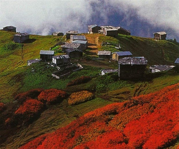 Hangi şehir, hangi takımlı? 9