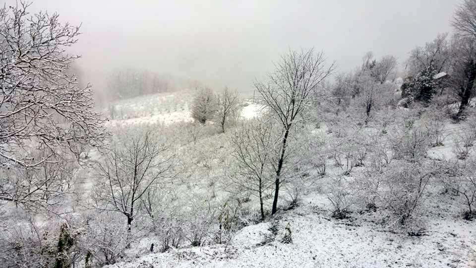 Türkiye'den beyaz manzaralar 104