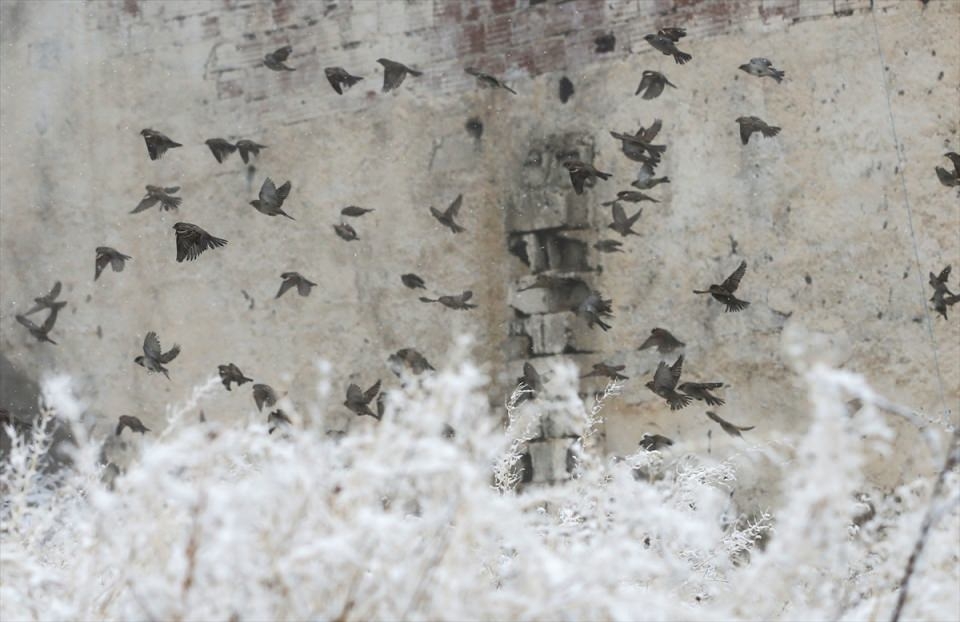 Türkiye'den beyaz manzaralar 11