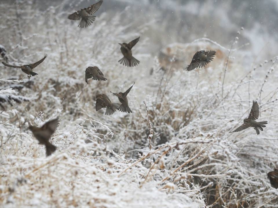 Türkiye'den beyaz manzaralar 12