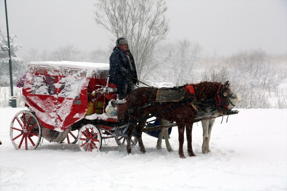 Türkiye'den beyaz manzaralar 28