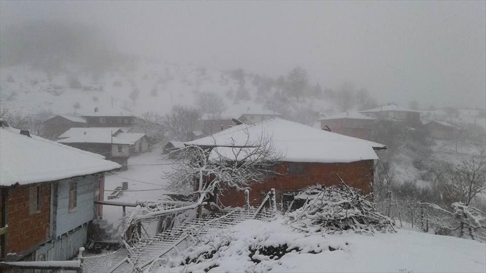 Türkiye'den beyaz manzaralar 68