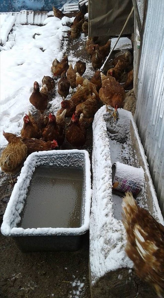 Türkiye'den beyaz manzaralar 69