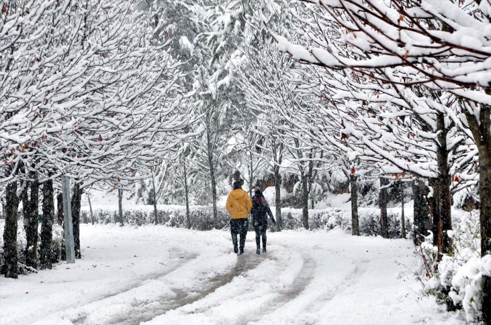 Türkiye'den beyaz manzaralar 70