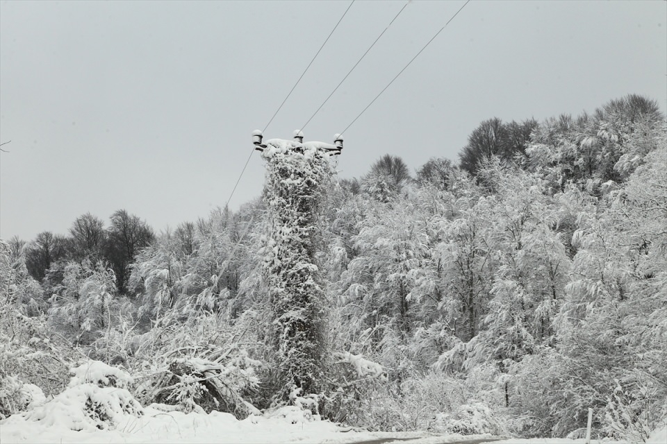 Türkiye'den beyaz manzaralar 83