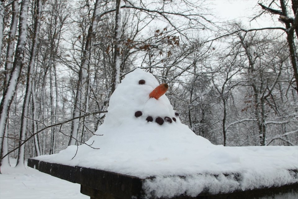 Türkiye'den beyaz manzaralar 84