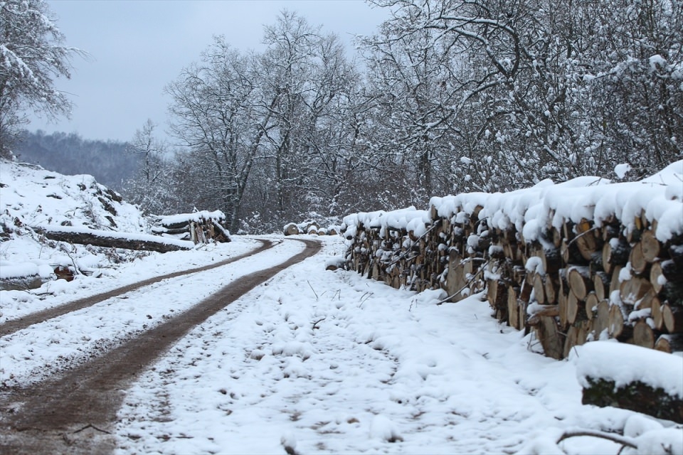 Türkiye'den beyaz manzaralar 85