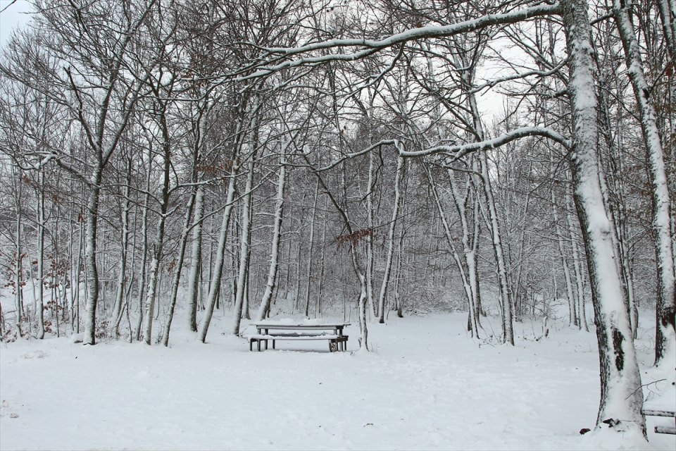 Türkiye'den beyaz manzaralar 86