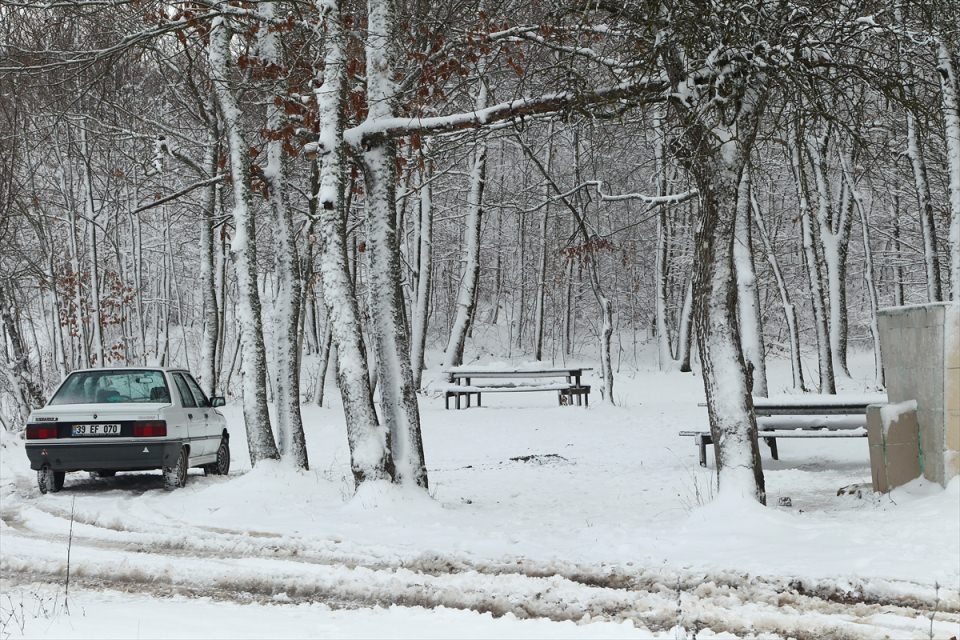 Türkiye'den beyaz manzaralar 87