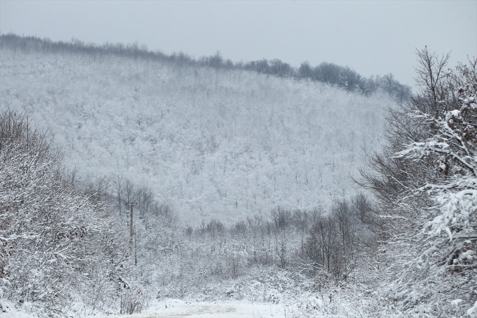 Türkiye'den beyaz manzaralar 89