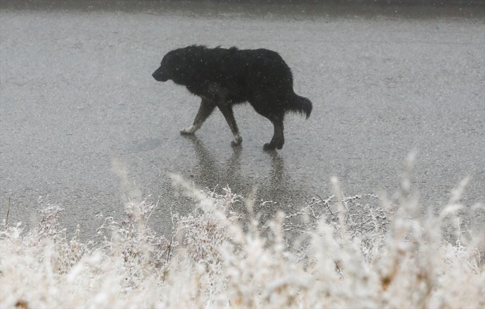 Türkiye'den beyaz manzaralar 9