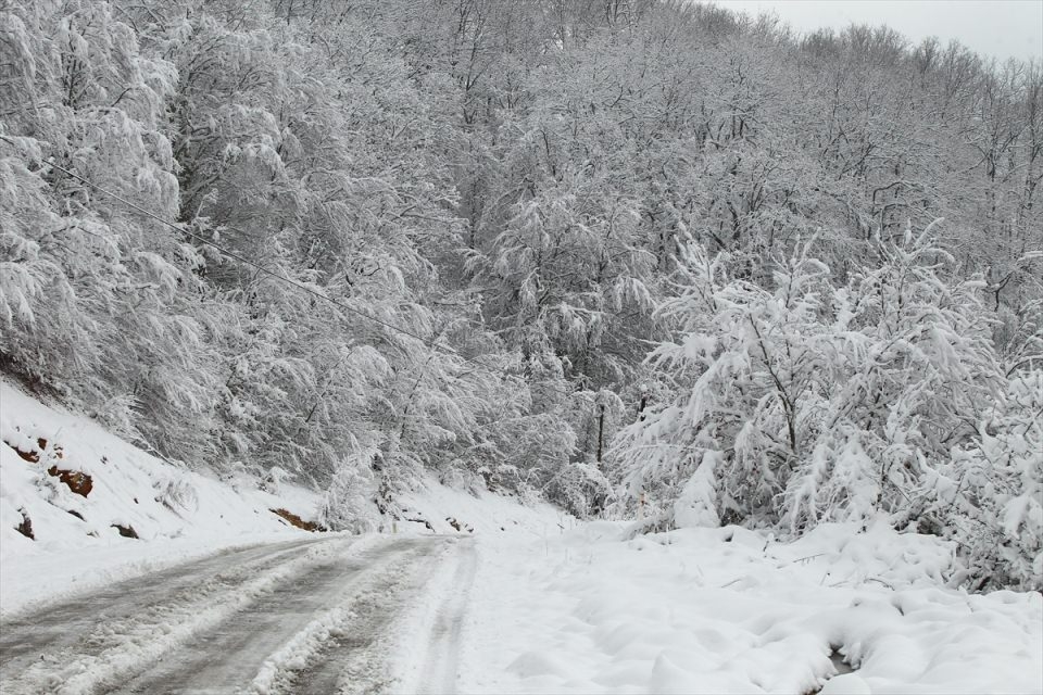 Türkiye'den beyaz manzaralar 91