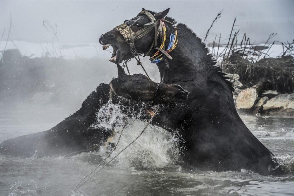 AFP objektifinden 2016'nın en iyi fotoğrafları 104