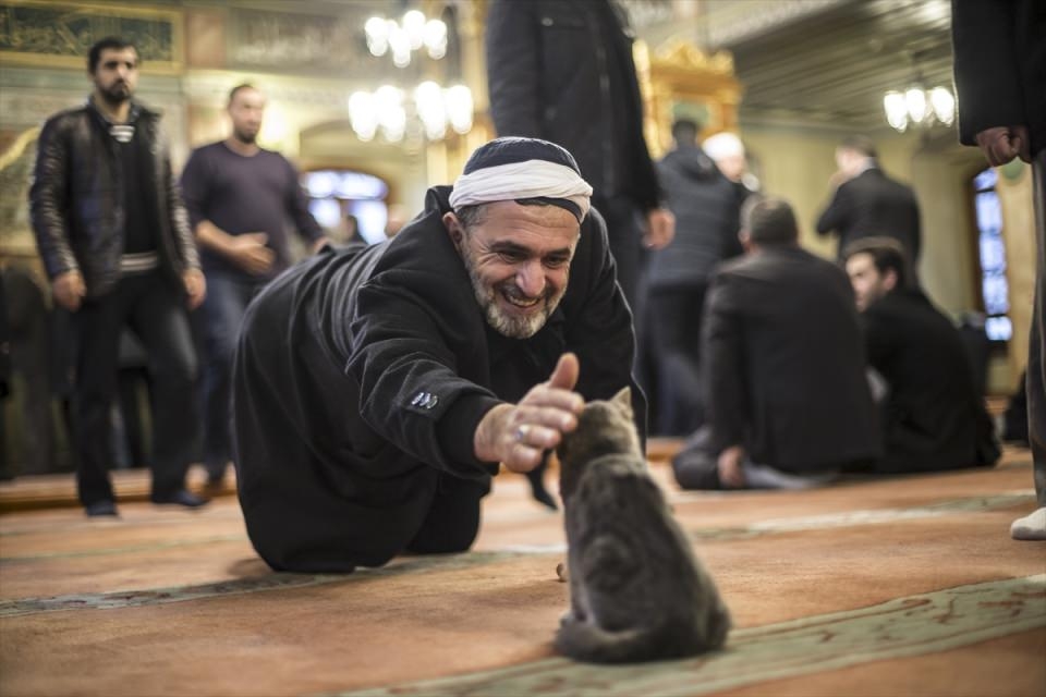 AFP objektifinden 2016'nın en iyi fotoğrafları 118