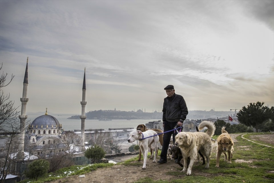 AFP objektifinden 2016'nın en iyi fotoğrafları 121