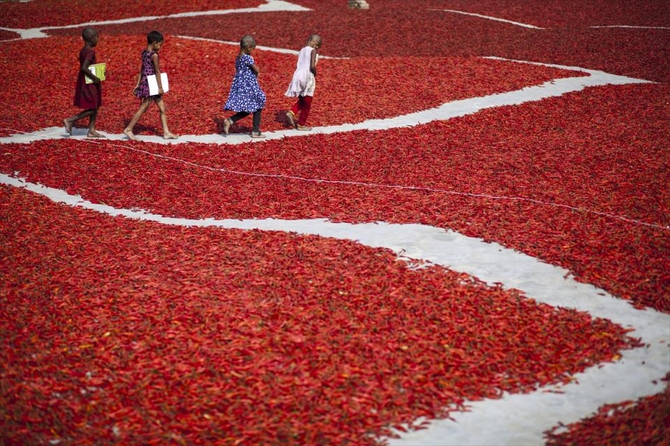 AFP objektifinden 2016'nın en iyi fotoğrafları 129