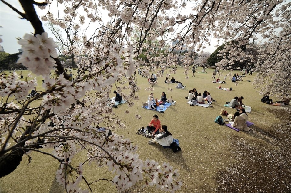 AFP objektifinden 2016'nın en iyi fotoğrafları 145