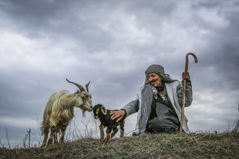 AFP objektifinden 2016'nın en iyi fotoğrafları 148