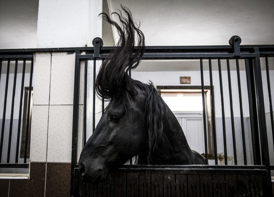 AFP objektifinden 2016'nın en iyi fotoğrafları 161