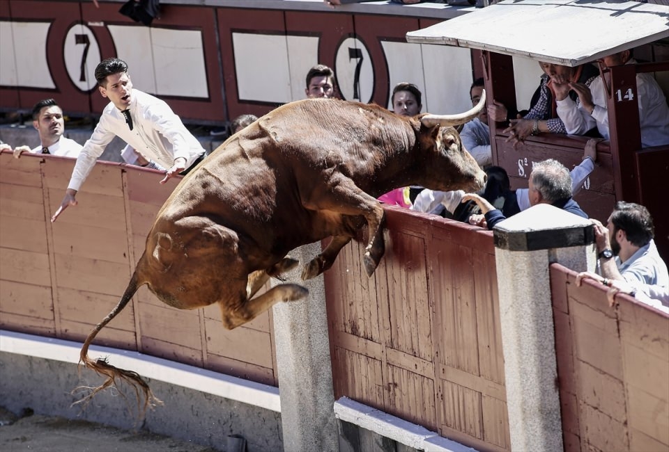 AFP objektifinden 2016'nın en iyi fotoğrafları 168