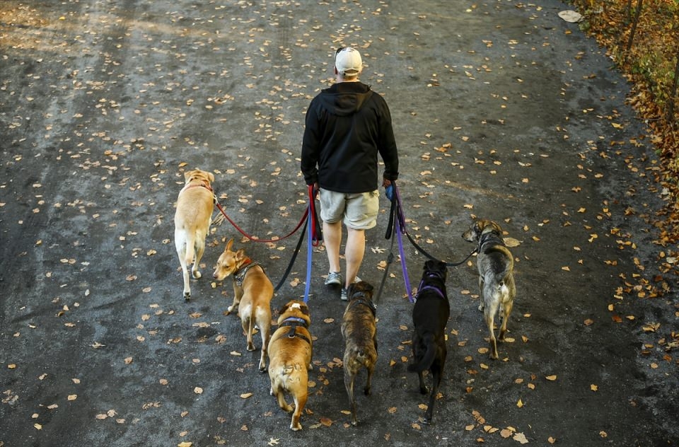 AFP objektifinden 2016'nın en iyi fotoğrafları 254