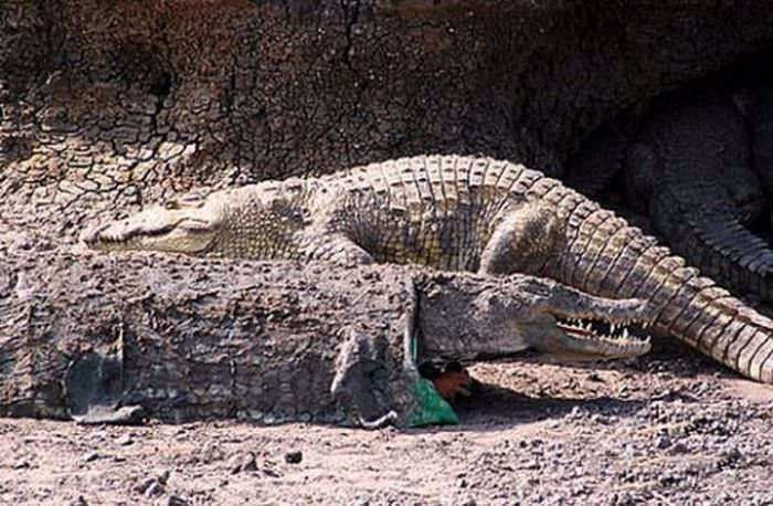 Dünyada böyle insanlar da var! 9